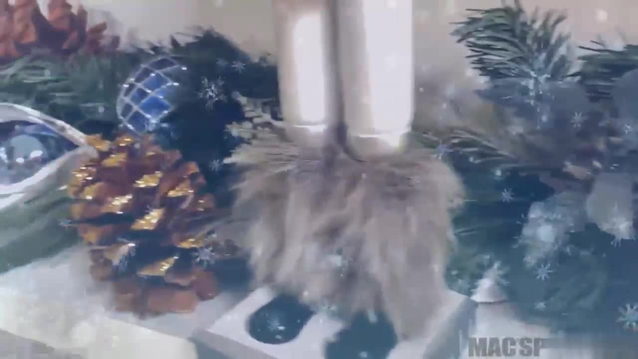 AJ Applegate And Kelsi Monroe - Santa Cums For A Holiday Threesome - Watch Latest Porn Video at ePornHome.com for Free.