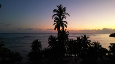 2023 05 30 Ruby - Dominican Goddess