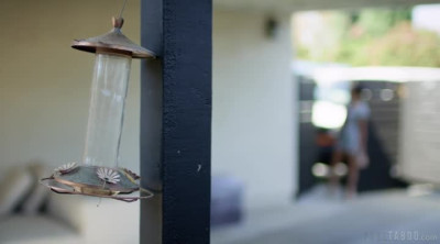 PureTaboo Kylie Rocket - Young At Heart 14 02 2023