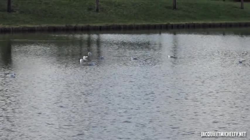 JacquieEtMichelTV Katerina, 27 Years Old, Beautician - Watch Latest Porn Video at ePornHome.com for Free.