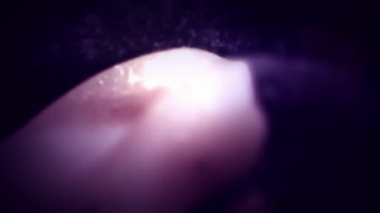 АМUЅЕ ΒОUСΗЕ - Watch Latest Porn Video at ePornHome.com for Free.