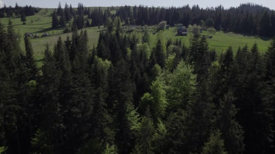 Hegre Margot V 2023 09 19