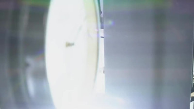 Vitoria Vonteese Anal Stockings